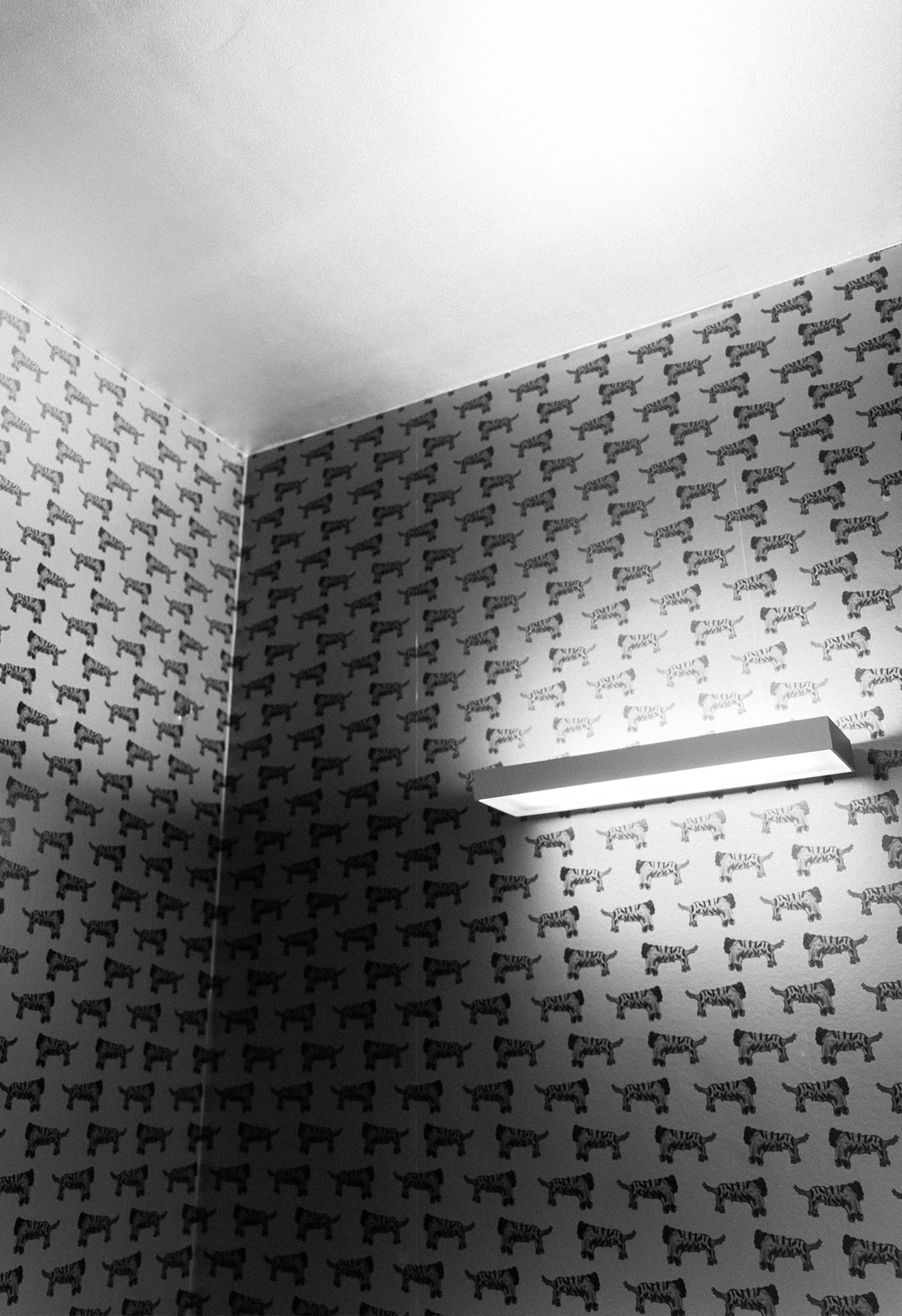 Kieferorthopaedie Erwachsene Deggendorf mit moderner Praxisgestaltung und stilvoller Tapete